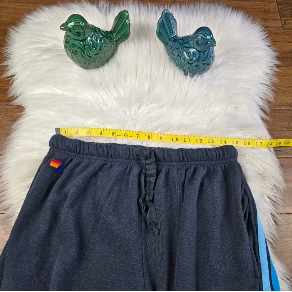 Aviator Nation 5 Stripe Jogger Mens Sweatpants XXL